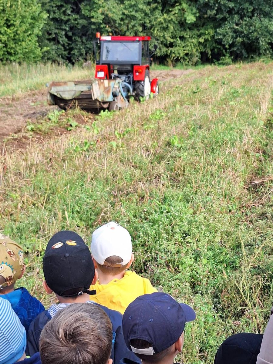 Zdjęcie: Wykopki i owocowe skarby czyli przedszkolaki w akcji
